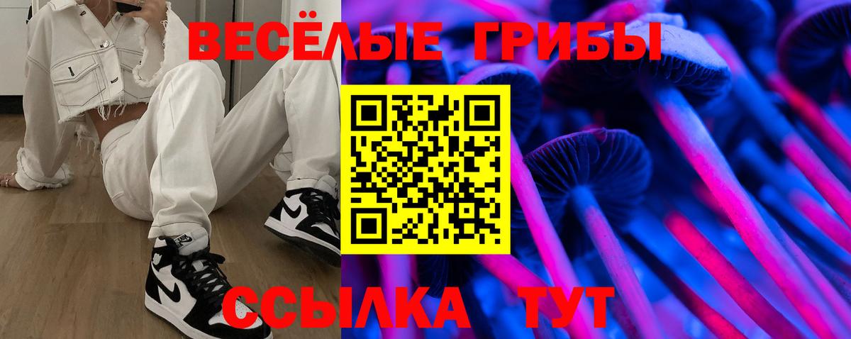 Чистополь  Галлюциногенные грибы Psilocybe  Вход с VPN 